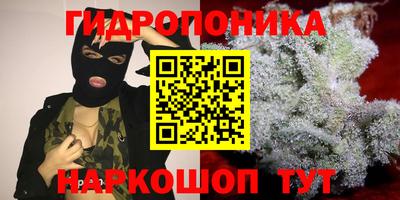 мдпв Будённовск