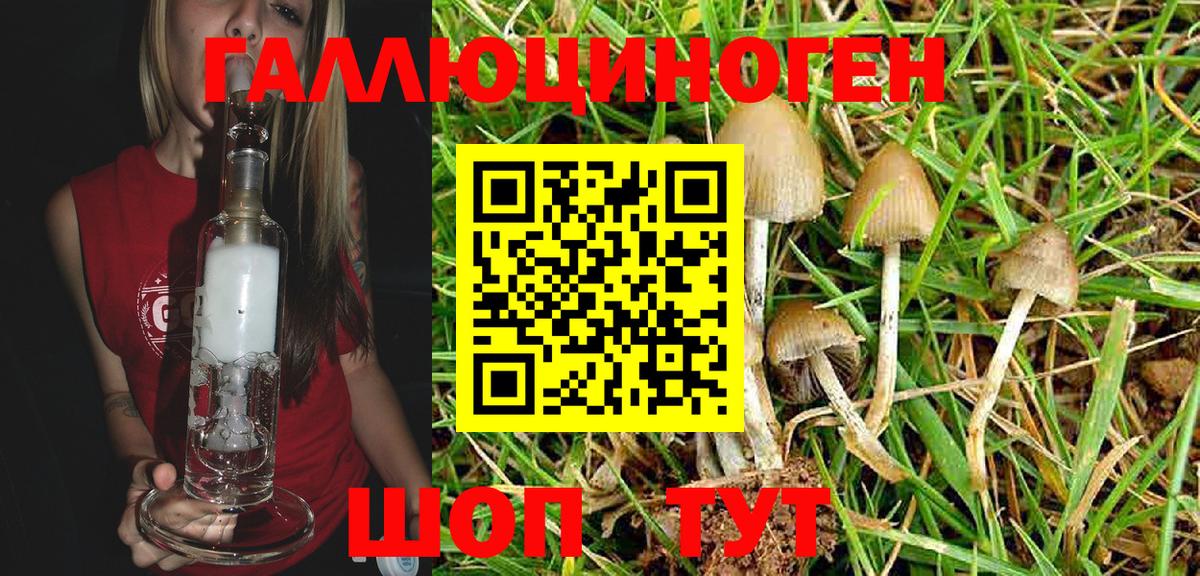 Галлюциногенные грибы MAGIC MUSHROOMS Красноуфимск