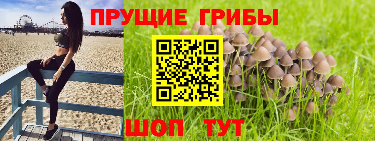 Галлюциногенные грибы Psilocybe  Вход с VPN  Красноуфимск  Галлюциногенные грибы ЛСД 